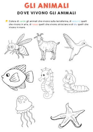Dove vivono gli animali – colora  3