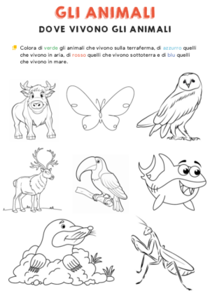 Dove vivono gli animali – colora  2