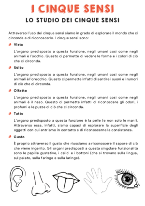I cinque sensi