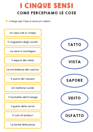 I cinque sensi – collega  3