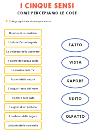 I cinque sensi – collega  2