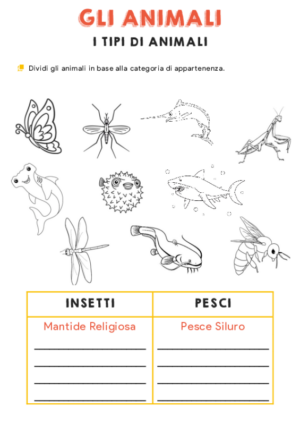 Gli animali – Insetti e pesci