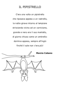 Il pipistrello