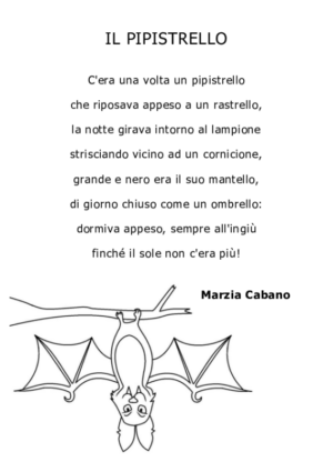 Il pipistrello